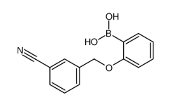 Picture of [2-[(3-cyanophenyl)methoxy]phenyl]boronic acid