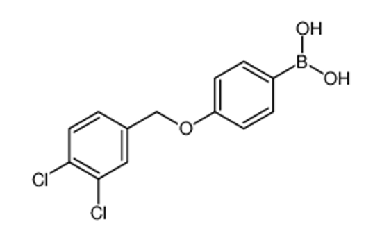 Picture of [4-[(3,4-dichlorophenyl)methoxy]phenyl]boronic acid