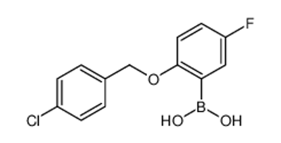 Picture of [2-[(4-chlorophenyl)methoxy]-5-fluorophenyl]boronic acid