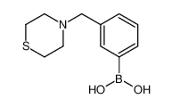 Picture of [3-(thiomorpholin-4-ylmethyl)phenyl]boronic acid