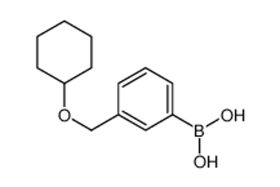 Picture of [3-(cyclohexyloxymethyl)phenyl]boronic acid