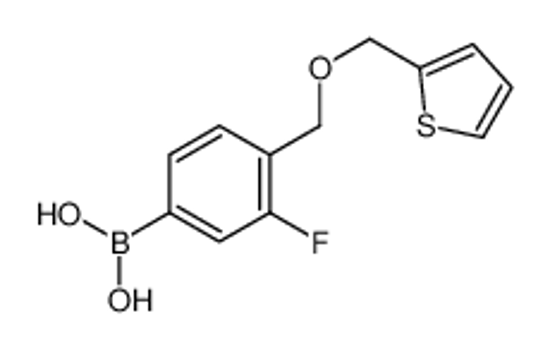 Picture of [3-fluoro-4-(thiophen-2-ylmethoxymethyl)phenyl]boronic acid