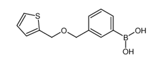Picture of [3-(thiophen-2-ylmethoxymethyl)phenyl]boronic acid