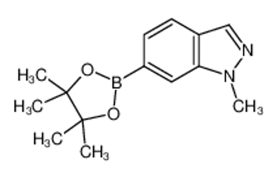 Picture of 1-methyl-6-(4,4,5,5-tetramethyl-1,3,2-dioxaborolan-2-yl)indazole
