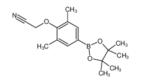 Picture of 4-Cyanomethoxy-3,5-dimethylphenylboronic acid pinacol ester