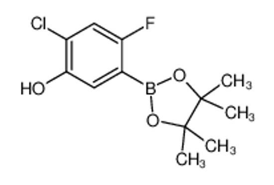 Picture of 2-chloro-4-fluoro-5-(4,4,5,5-tetramethyl-1,3,2-dioxaborolan-2-yl)phenol