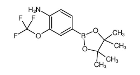 Picture of 4-(4,4,5,5-tetramethyl-1,3,2-dioxaborolan-2-yl)-2-(trifluoromethoxy)aniline