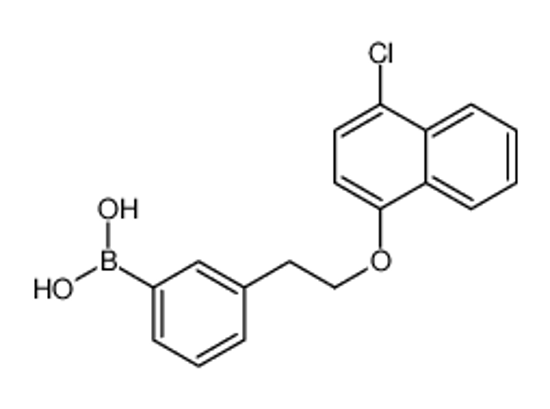 Picture of [3-[2-(4-chloronaphthalen-1-yl)oxyethyl]phenyl]boronic acid