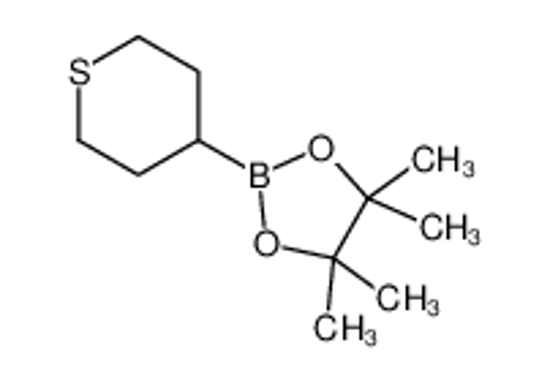 Изображение 4,4,5,5-tetramethyl-2-(thian-4-yl)-1,3,2-dioxaborolane