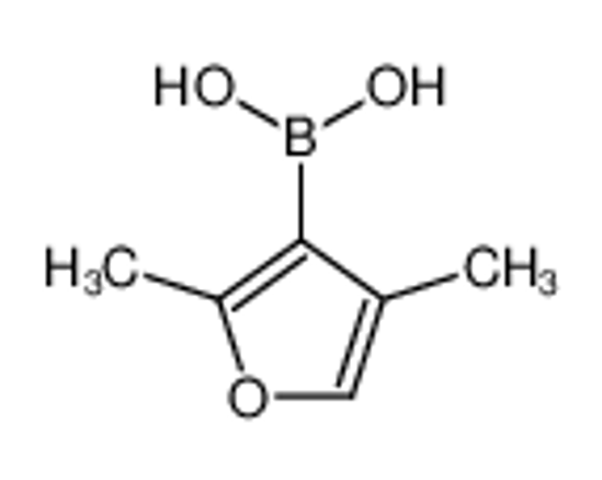 Imagem de (2,4-dimethylfuran-3-yl)boronic acid