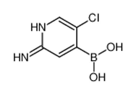 Picture of (2-amino-5-chloropyridin-4-yl)boronic acid
