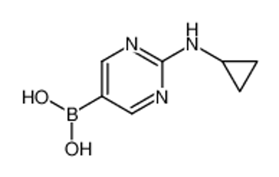 Изображение [2-(cyclopropylamino)pyrimidin-5-yl]boronic acid
