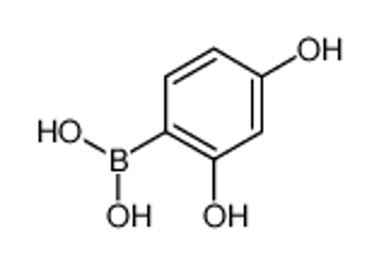 Picture of (2,4-dihydroxyphenyl)boronic acid