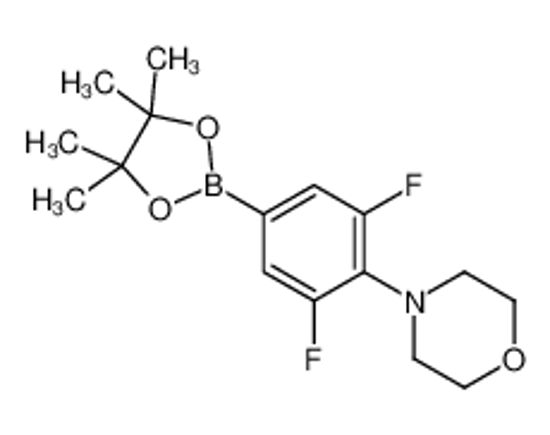 Picture of 4-[2,6-difluoro-4-(4,4,5,5-tetramethyl-1,3,2-dioxaborolan-2-yl)phenyl]morpholine