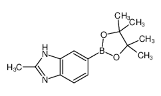 Изображение 2-methyl-6-(4,4,5,5-tetramethyl-1,3,2-dioxaborolan-2-yl)-1H-benzimidazole