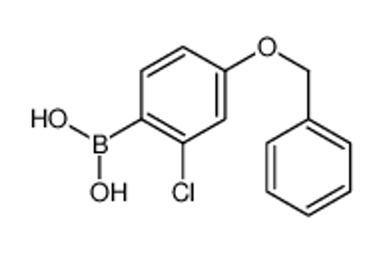 Picture of (2-chloro-4-phenylmethoxyphenyl)boronic acid
