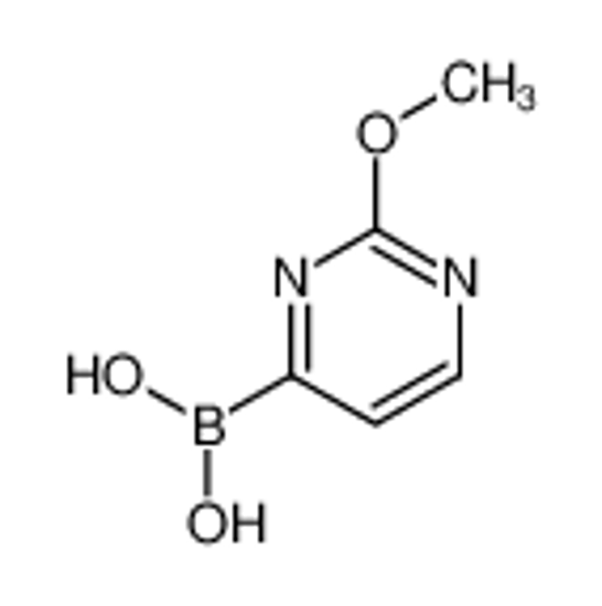 Picture of (2-methoxypyrimidin-4-yl)boronic acid