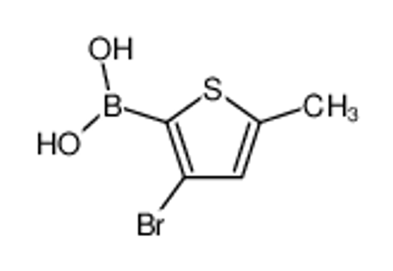Изображение (3-bromo-5-methylthiophen-2-yl)boronic acid