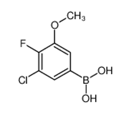Picture of (3-chloro-4-fluoro-5-methoxyphenyl)boronic acid