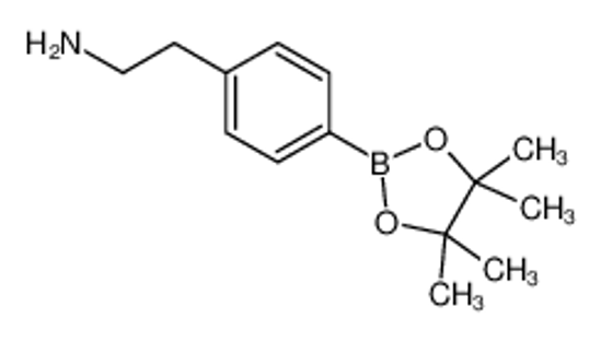 Picture of 4-(2-Aminoethyl)phenylboronic acid pinacol ester