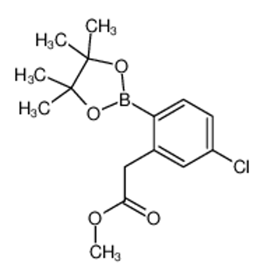 Picture of methyl 2-[5-chloro-2-(4,4,5,5-tetramethyl-1,3,2-dioxaborolan-2-yl)phenyl]acetate