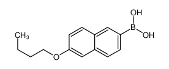 Picture of (6-butoxynaphthalen-2-yl)boronic acid