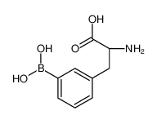 Picture of (2S)-2-amino-3-(3-boronophenyl)propanoic acid