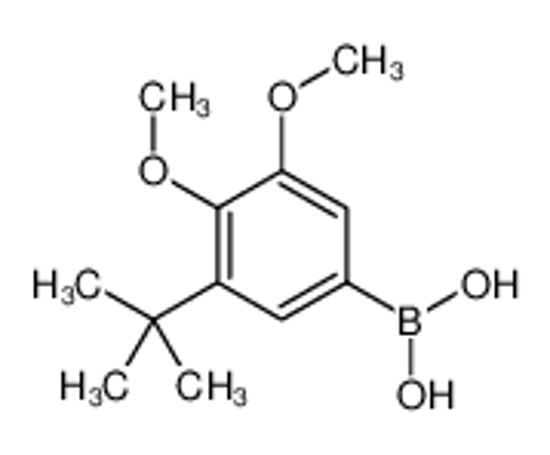 Picture of (3-tert-butyl-4,5-dimethoxyphenyl)boronic acid