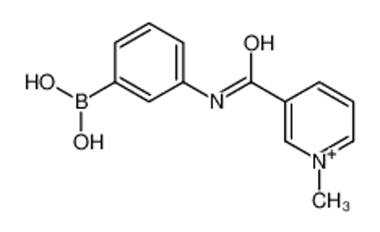 Picture of [3-[(1-methylpyridin-1-ium-3-carbonyl)amino]phenyl]boronic acid