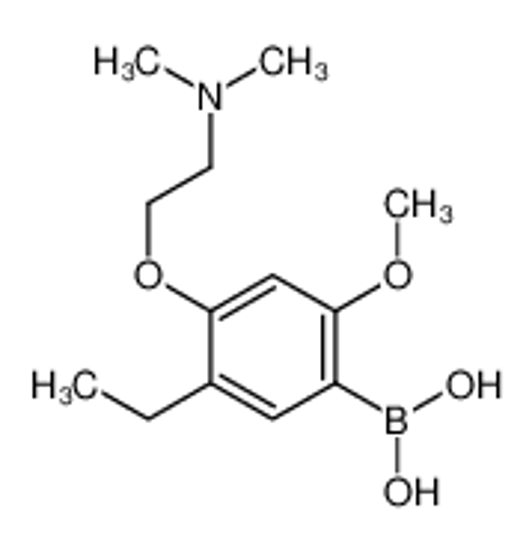 Picture of [4-[2-(dimethylamino)ethoxy]-5-ethyl-2-methoxyphenyl]boronic acid