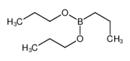 Imagem de dipropoxy(propyl)borane