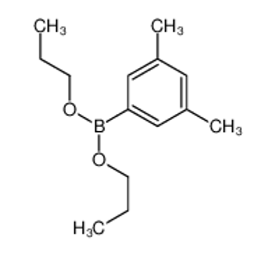 Picture of (3,5-dimethylphenyl)-dipropoxyborane