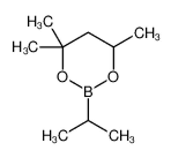 Picture of 4,4,6-trimethyl-2-propan-2-yl-1,3,2-dioxaborinane