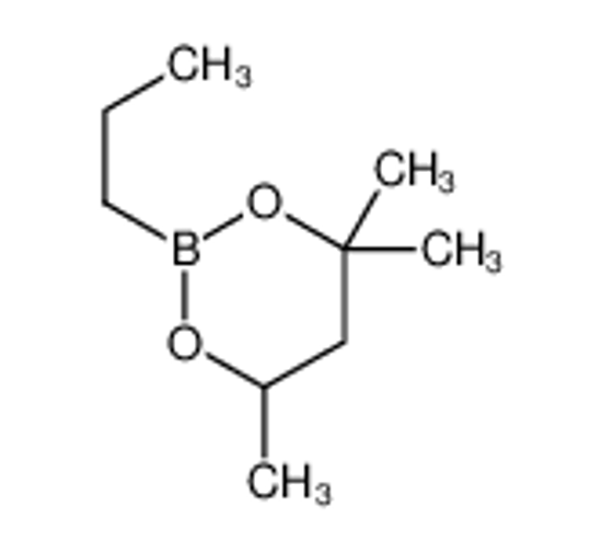 Imagem de 4,4,6-trimethyl-2-propyl-1,3,2-dioxaborinane