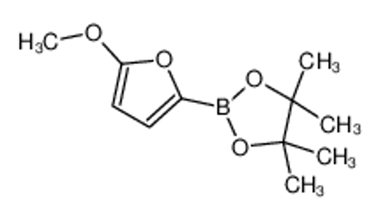 Picture of 2-(5-methoxyfuran-2-yl)-4,4,5,5-tetramethyl-1,3,2-dioxaborolane