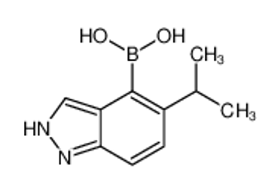 Imagem de (5-propan-2-yl-1H-indazol-4-yl)boronic acid