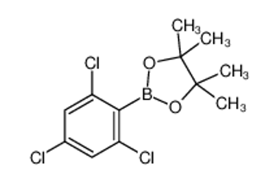 Изображение 4,4,5,5-tetramethyl-2-(2,4,6-trichlorophenyl)-1,3,2-dioxaborolane