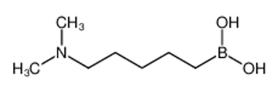 Picture of 5-(dimethylamino)pentylboronic acid