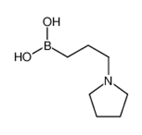 Изображение 3-pyrrolidin-1-ylpropylboronic acid