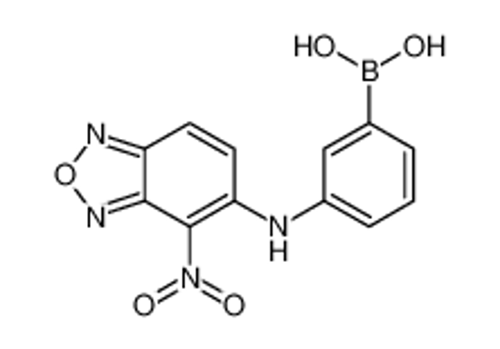Изображение [3-[(4-nitro-2,1,3-benzoxadiazol-5-yl)amino]phenyl]boronic acid