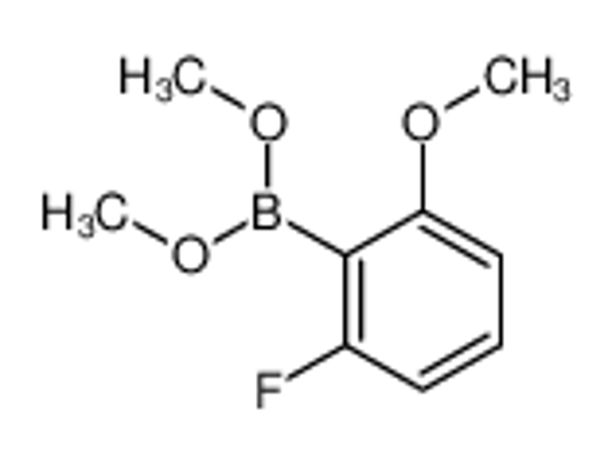Picture of (2-fluoro-6-methoxyphenyl)-dimethoxyborane