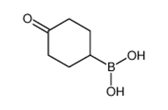 Picture of (4-oxocyclohexyl)boronic acid