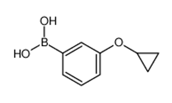 Picture of (3-cyclopropyloxyphenyl)boronic acid