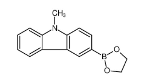 Picture of 3-(1,3,2-dioxaborolan-2-yl)-9-methylcarbazole