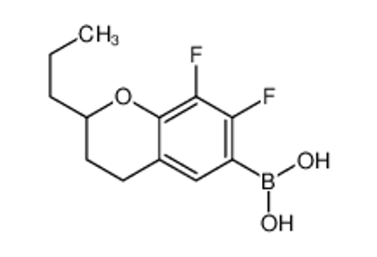 Picture of (7,8-difluoro-2-propyl-3,4-dihydro-2H-chromen-6-yl)boronic acid
