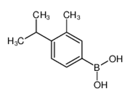Picture of (3-methyl-4-propan-2-ylphenyl)boronic acid