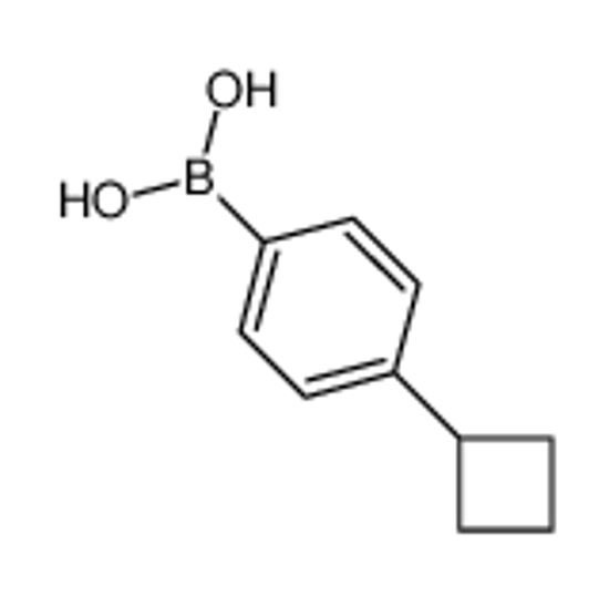 Picture of (4-cyclobutylphenyl)boronic acid