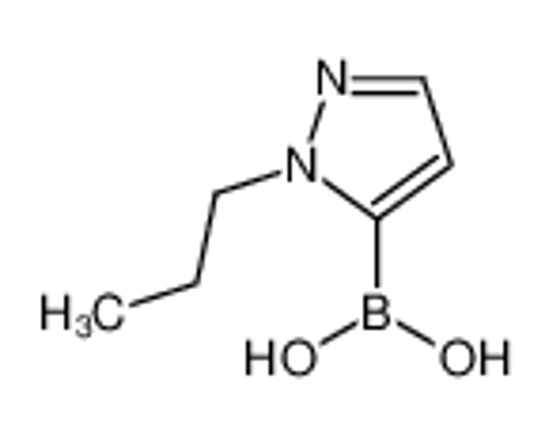 Picture of (2-propylpyrazol-3-yl)boronic acid