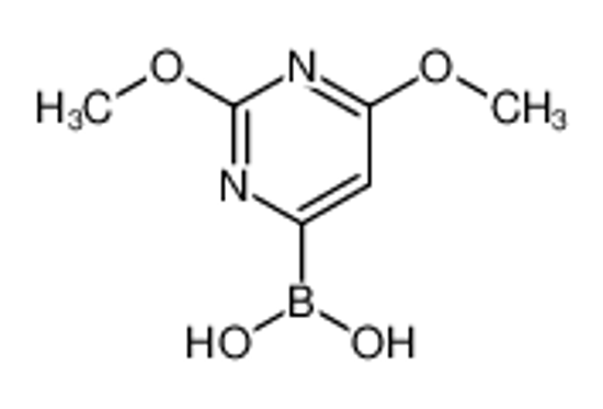 Picture of (2,6-dimethoxypyrimidin-4-yl)boronic acid