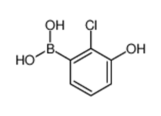 Picture of (2-chloro-3-hydroxyphenyl)boronic acid